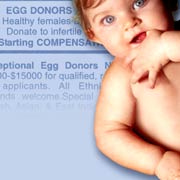 Ads from The Daily Californian at UC Berkeley call for egg donors.