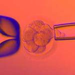 IVF embryo testing