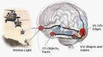 Darpa says a soldier's brain can be monitored in real time, with an EEG picking up 