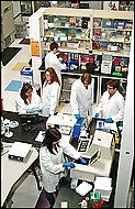 Scientists at LS9 Inc. in San Carlos, Calif., are using artificial DNA to reprogram E. coli bacteria to produce a cheap alternative fuel.